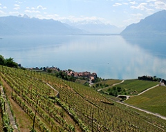 Lavaux Vineyards lake Geneva